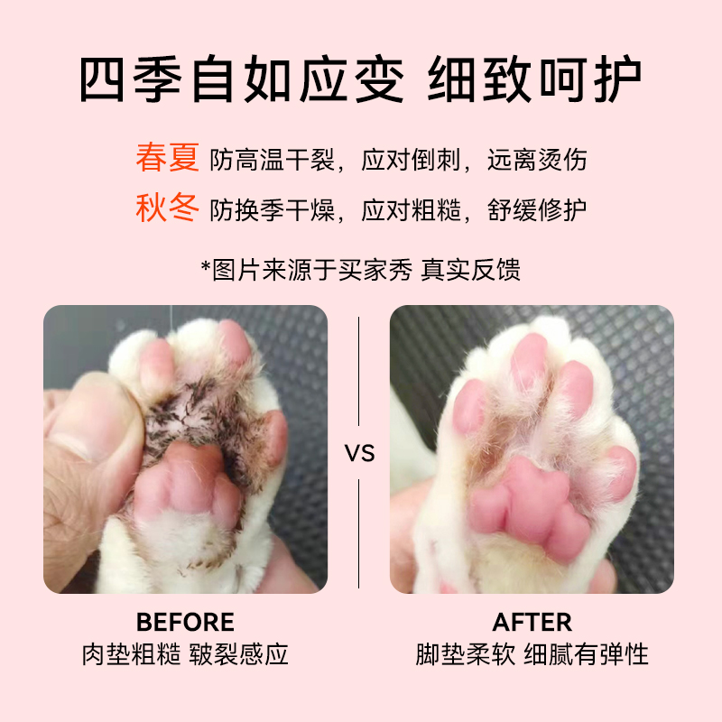 宠物护爪膏：猫咪狗狗专用，脚掌肉垫防干裂的秘密武器！