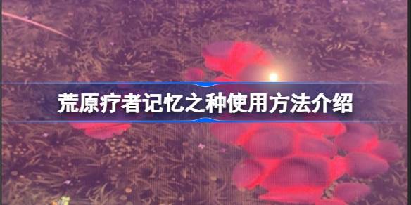 荒原疗者记忆之种怎么使用 荒原疗者记忆之种使用方法介绍