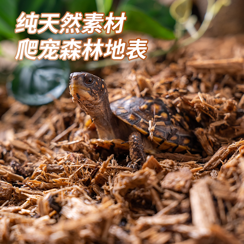 SuperRep爬虫森林地表垫材：打造宠物蛇、陆龟、蜥蜴的理想家园！