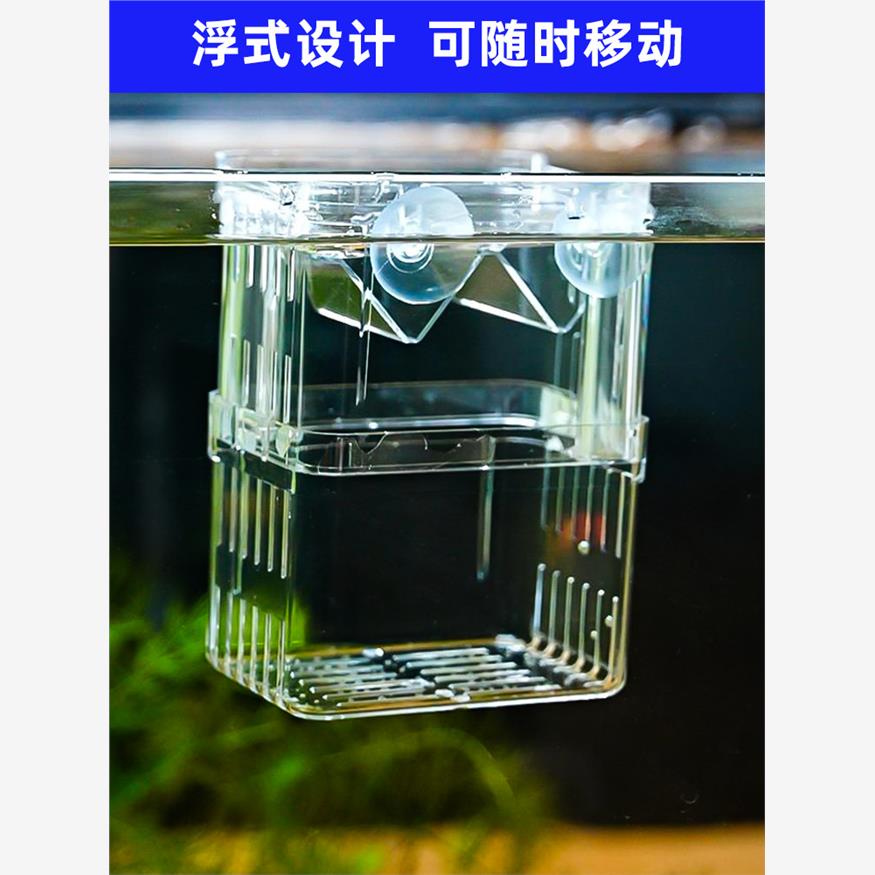 热带鱼宝宝的温馨小窝：鱼缸隔离盒孔雀鱼繁殖盒大揭秘！✨