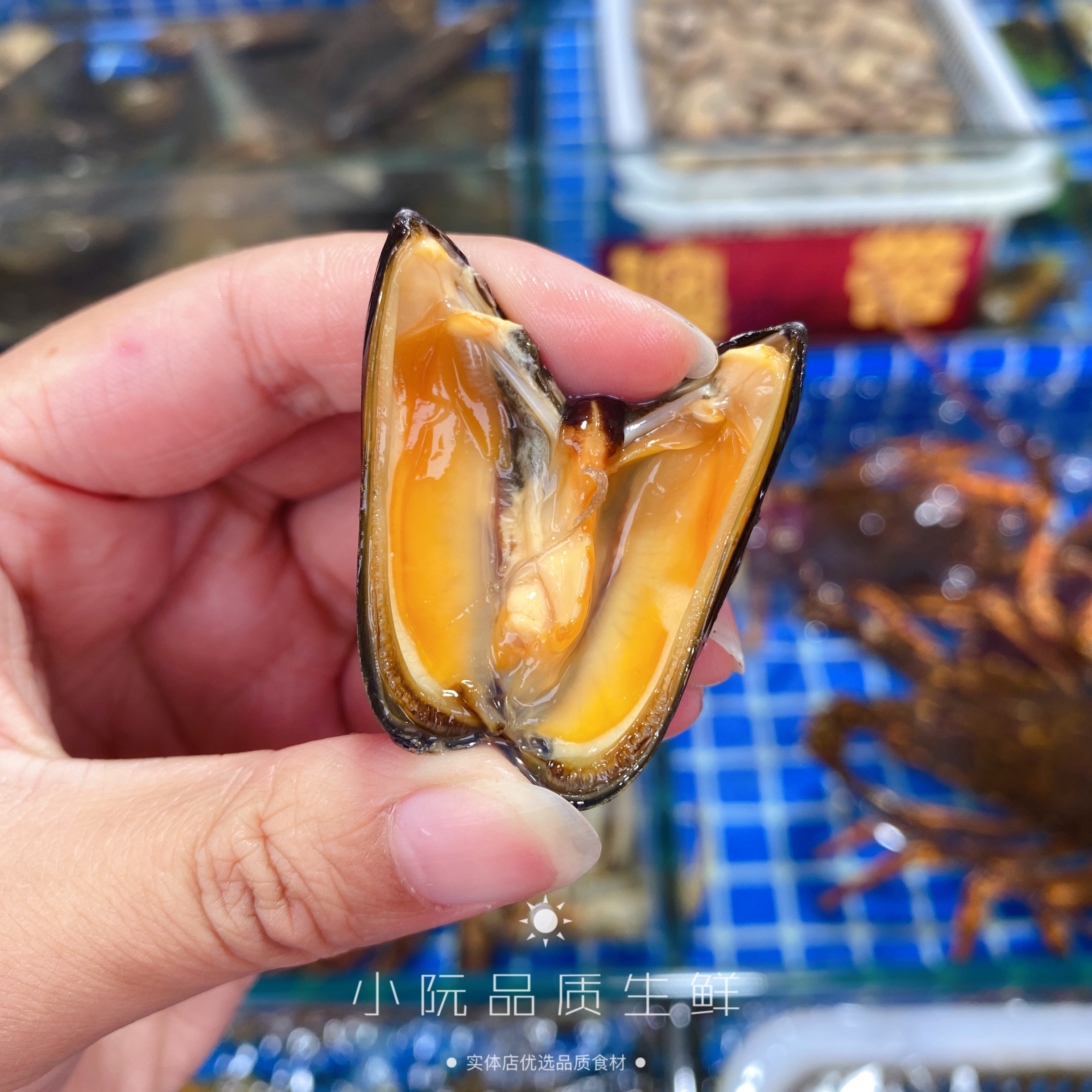 上海闪送鲜活法国蓝口贝：顺丰速递的新鲜盛宴，让你在家也能品尝顶级海鲜！