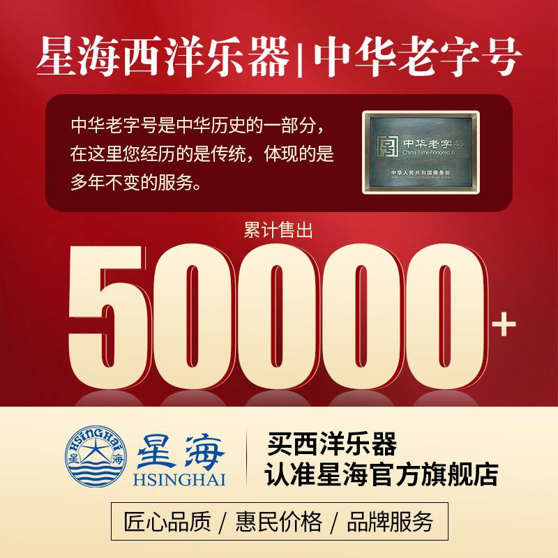 星海圆号乐器降B调喇叭口单排XFH-200 vs 双排圆号XFH-300：音乐之旅的选择难题