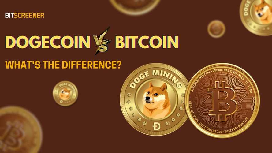 Understanding Dogecoin to USDT Exchange Rates