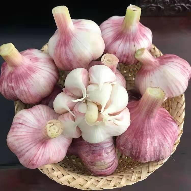 云南旅游攻略：穷游也能玩出高级感，1500字带你玩转彩云之南！
