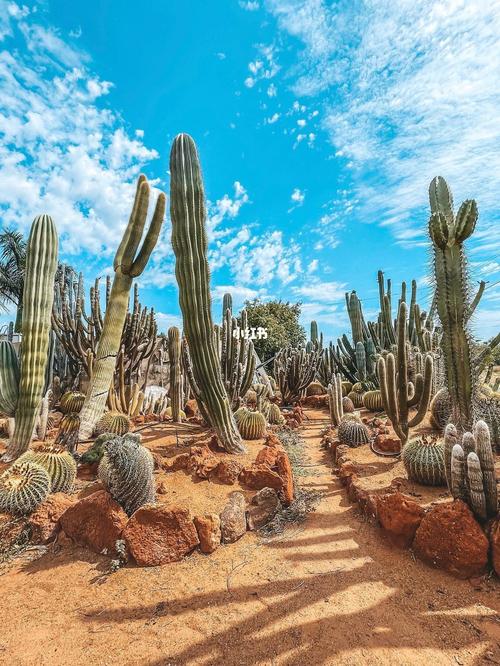 colored sand for landscaping,Colored Sand for Landscaping: A Comprehensive Guide