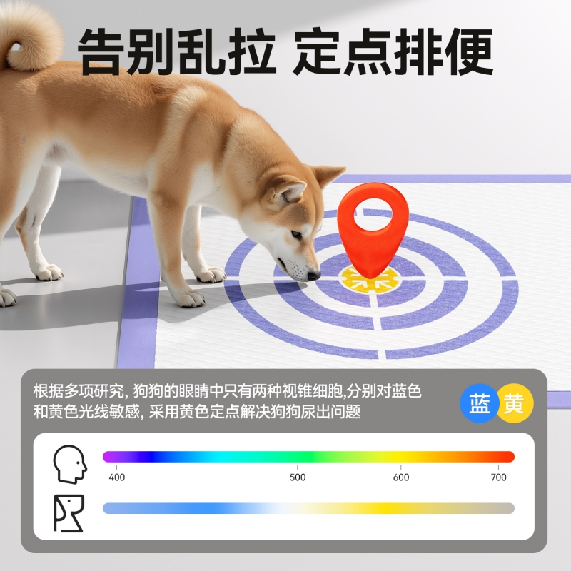 宠物尿垫新升级！狗狗厕所训导神器，轻松告别清洁烦恼！