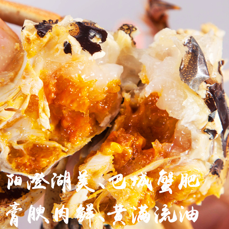 大闸蟹盛宴：公4.8两母3.8两，鲜活特大，蟹宴必备！