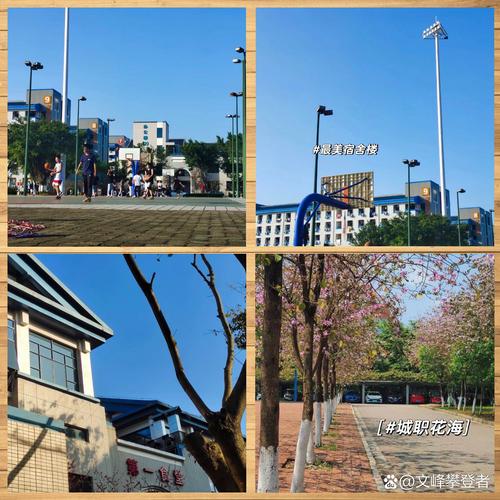 柳州城市职业学院空乘,培养未来航空服务精英