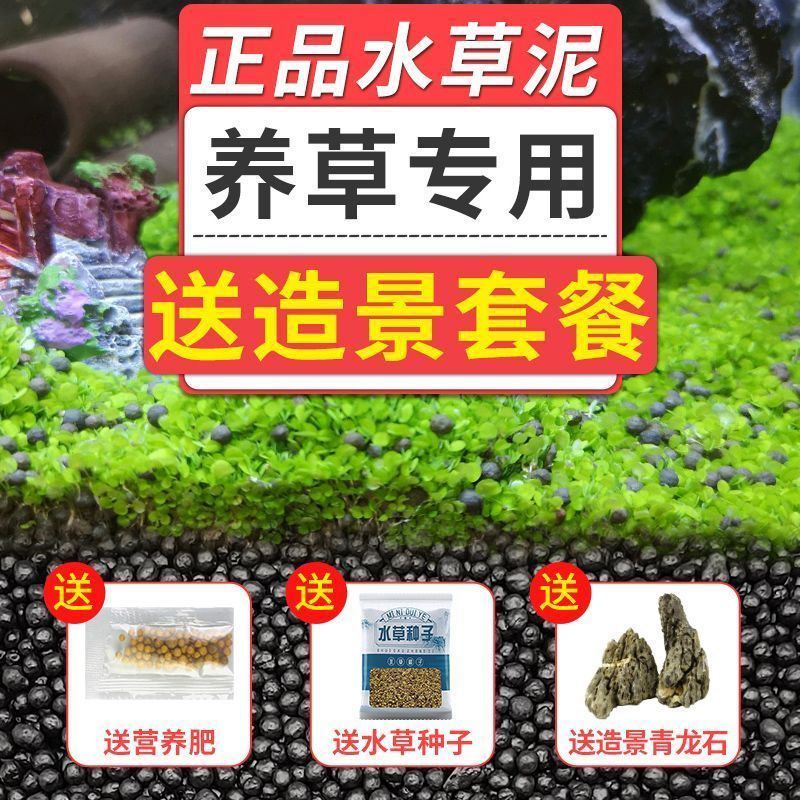 水草肥料全攻略：从基肥到追肥，打造完美草缸秘籍！