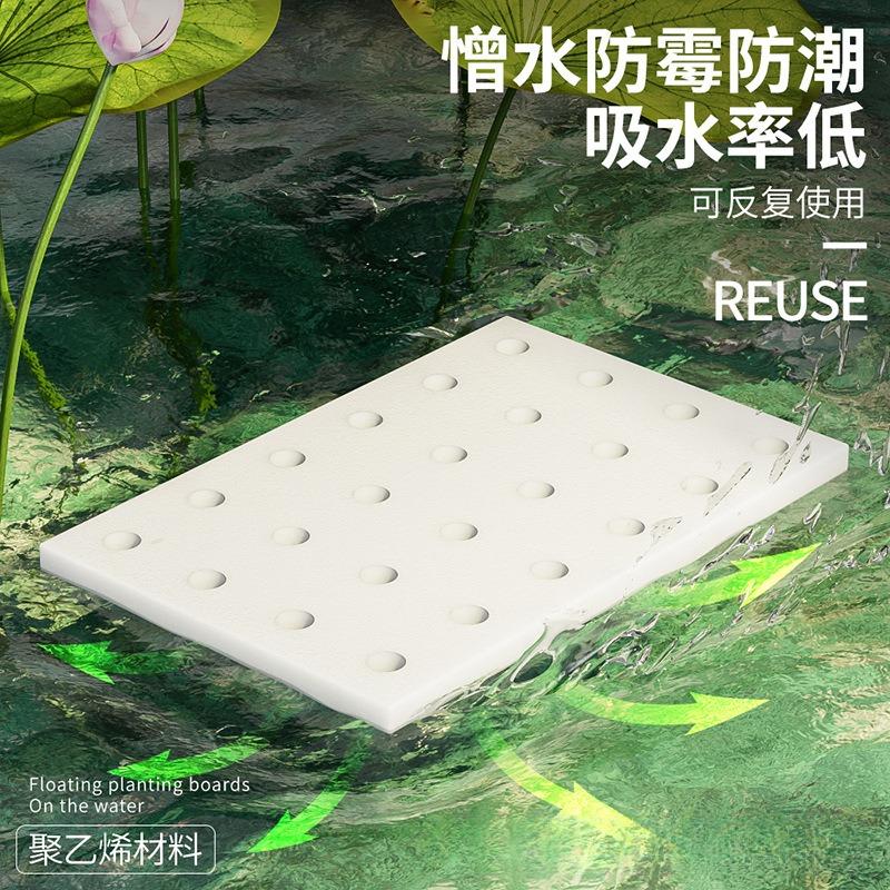 水培蔬菜种植泡沫板：轻松拥有绿色菜园，定制你的专属农场!