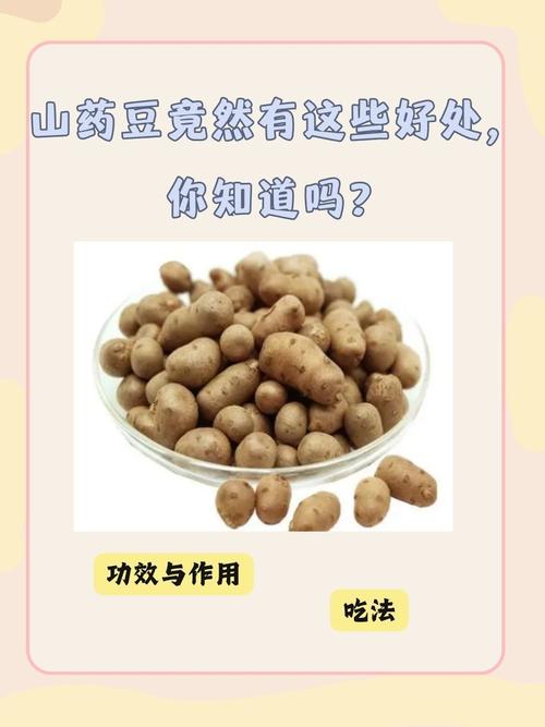 山药豆,营养丰富的健康食品，你了解多少？