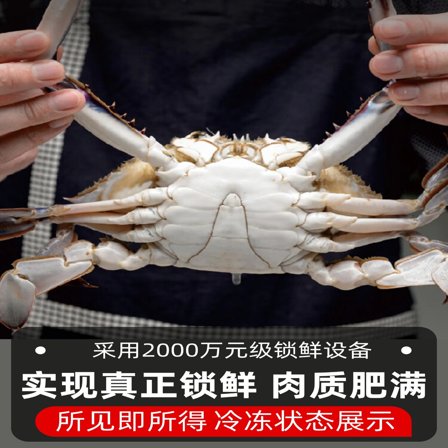 梭子蟹舟山鲜活大超大特大母蟹公蟹海螃蟹海鲜水产红膏蟹飞蟹包肥，吃货们的盛宴开始了！