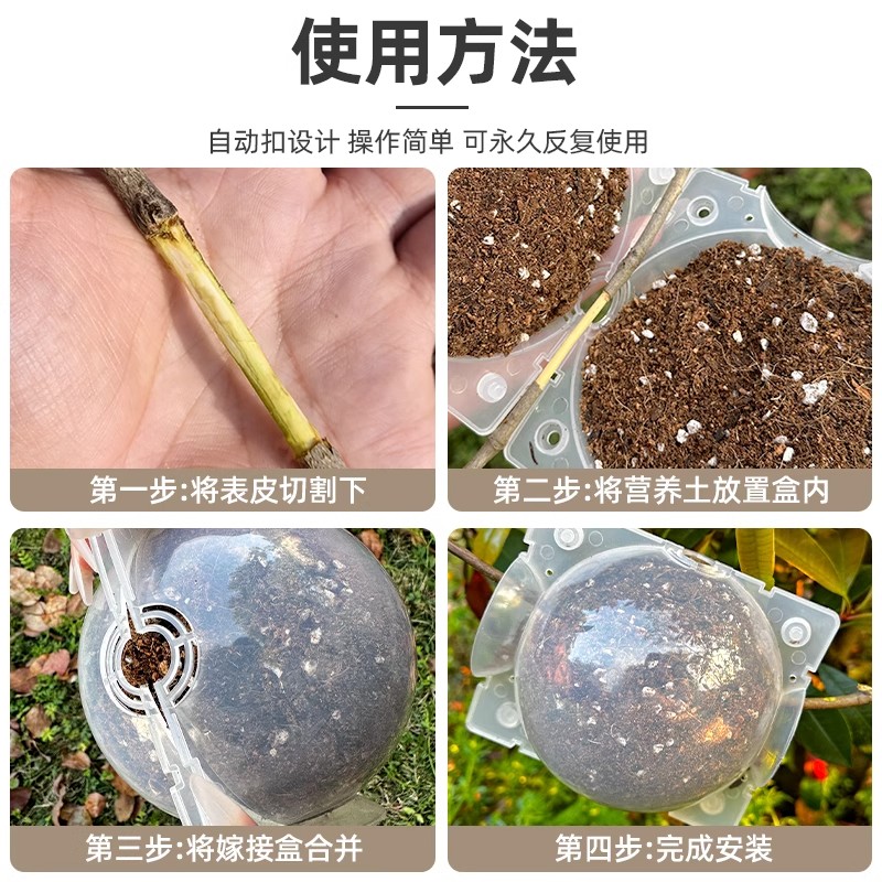 果树嫁接神器，高压繁殖盒器助你轻松育苗生根！