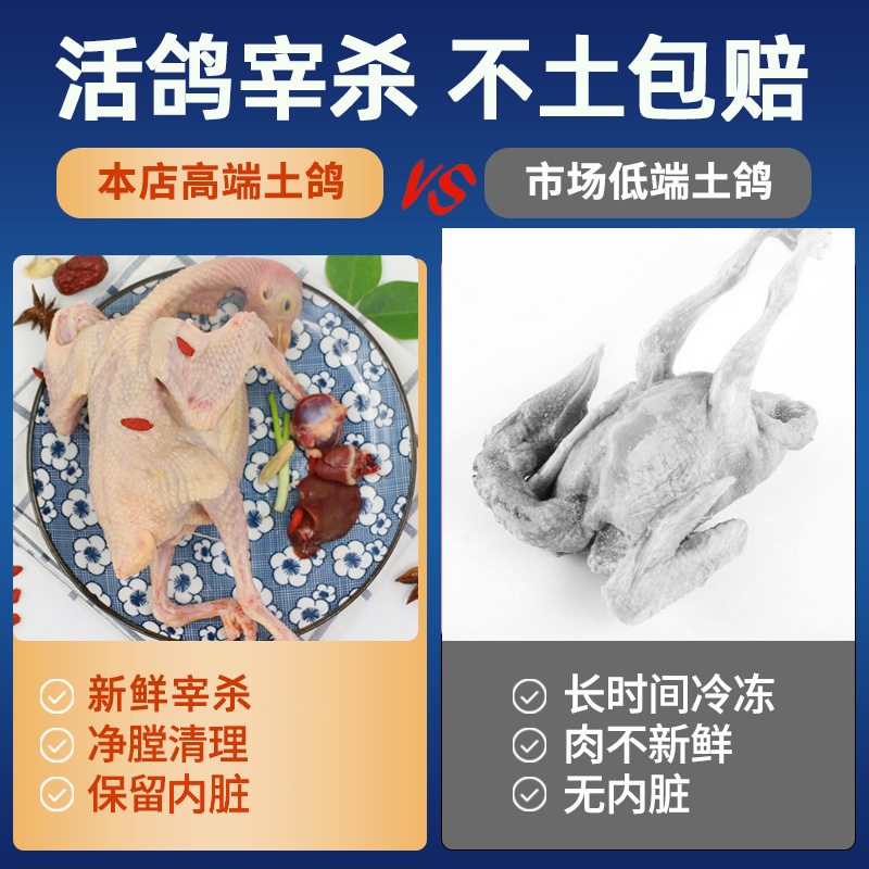 苏北农家散养3年老鸽子，土鸽子新鲜鸽肉，信鸽活体现杀煲汤，你尝过吗？