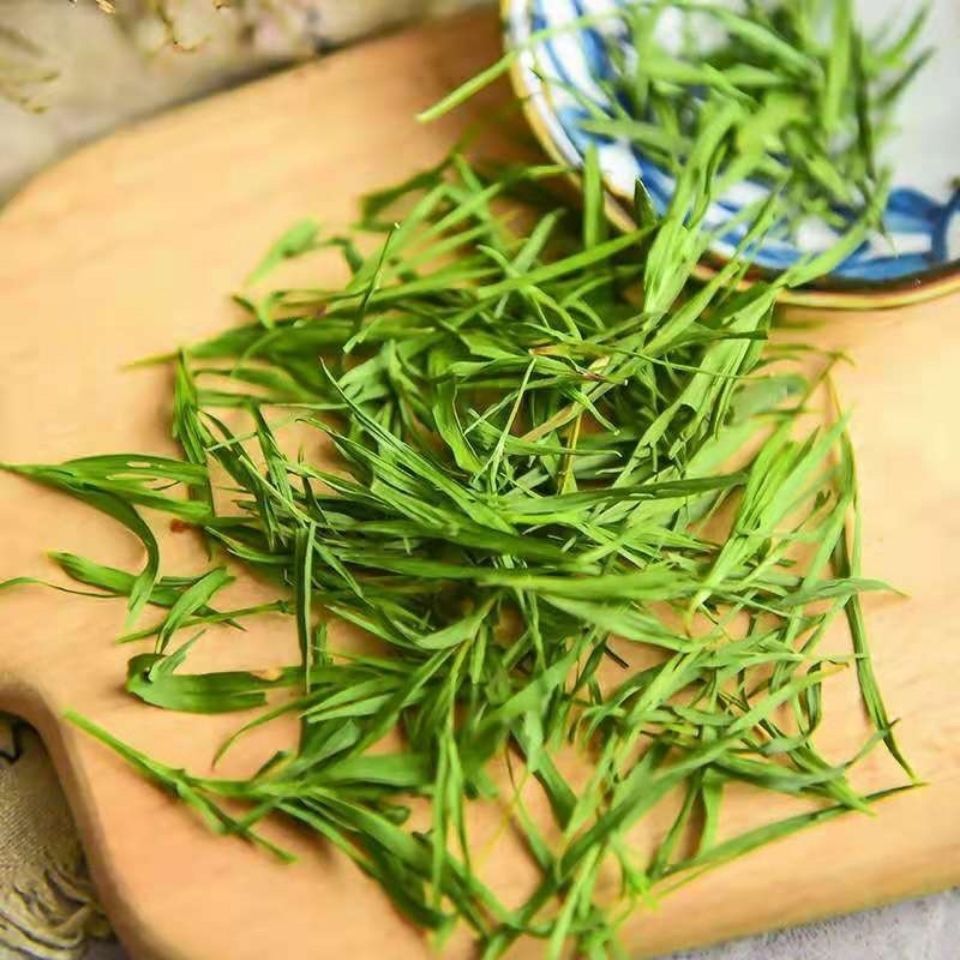 青茶属于什么茶系？揭秘青茶的分类与特点