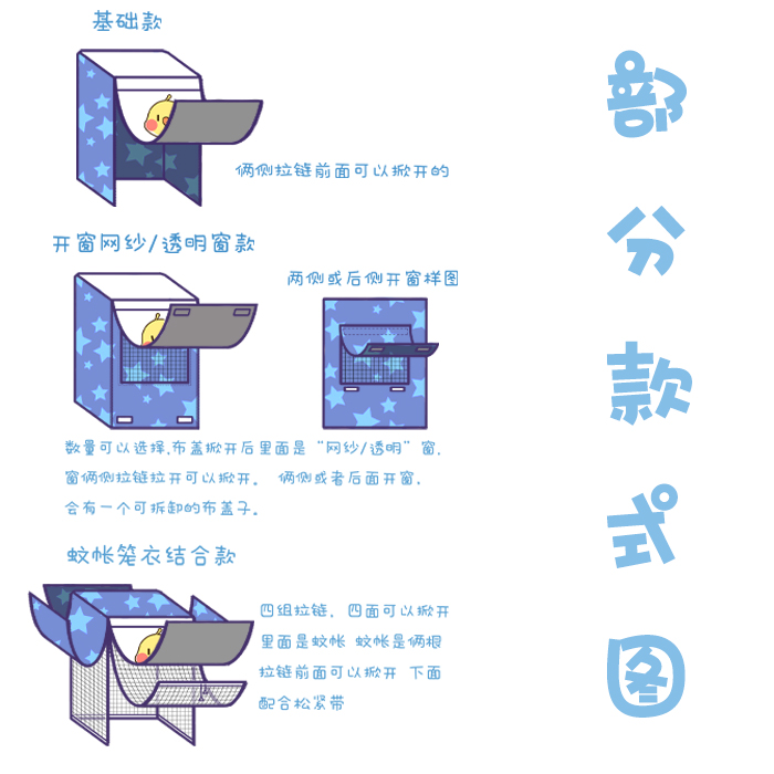 为什么鹦鹉天生自带腮红？揭秘羽毛色彩奥秘