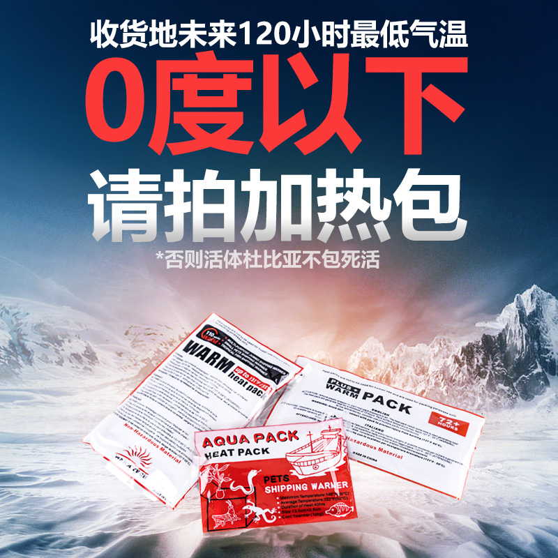 人工繁殖巴卡雷龙鱼需要注意哪些关键点？