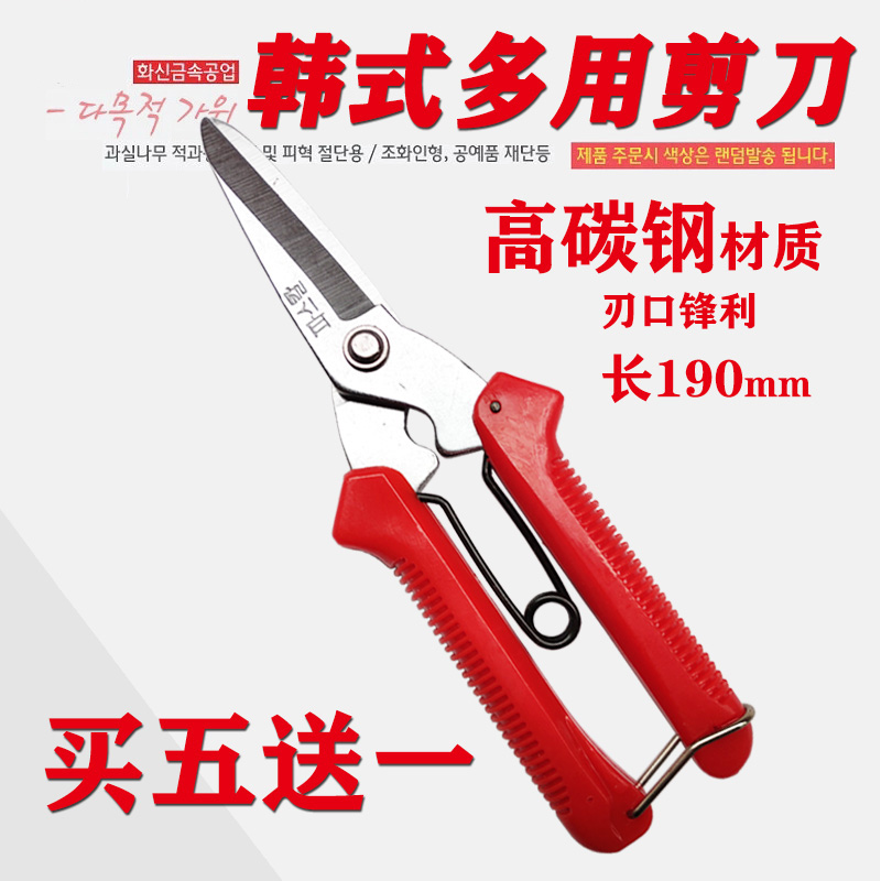 韩国花信剪刀太香了！园艺党狂喜！多功能铁皮剪真的绝了！