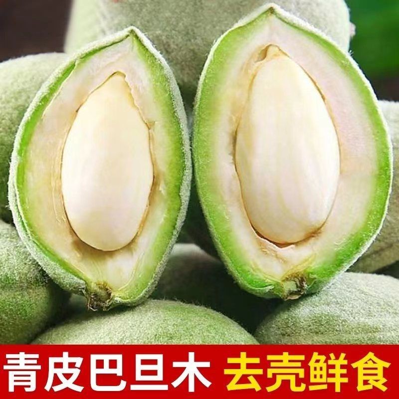 新鲜青皮巴旦木：解锁大自然的美味坚果，一口咬下全是惊喜！