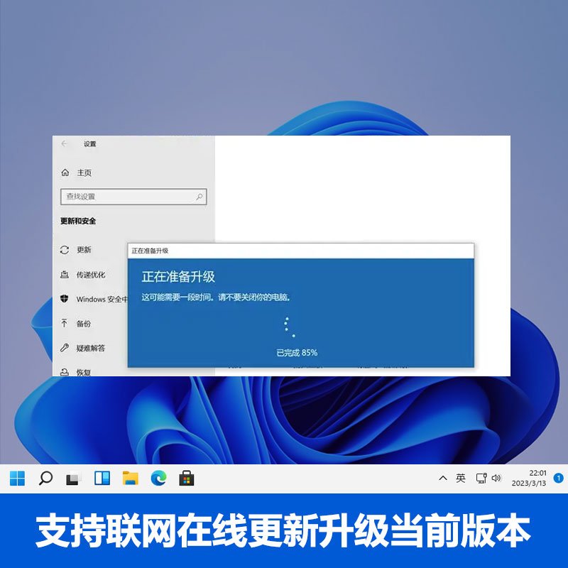 正版Windows 11购买价格是多少？如何选择适合的版本？