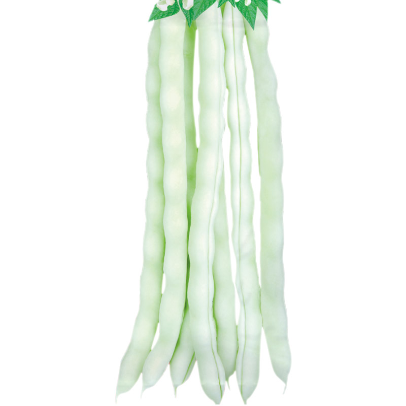 普罗旺斯番茄1kg：法国阳光的味道，如何挑选与烹饪全攻略！