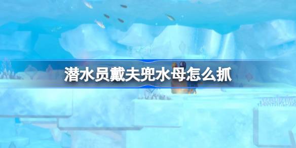 潜水员戴夫兜水母怎么抓 潜水员戴夫兜水母捕捉