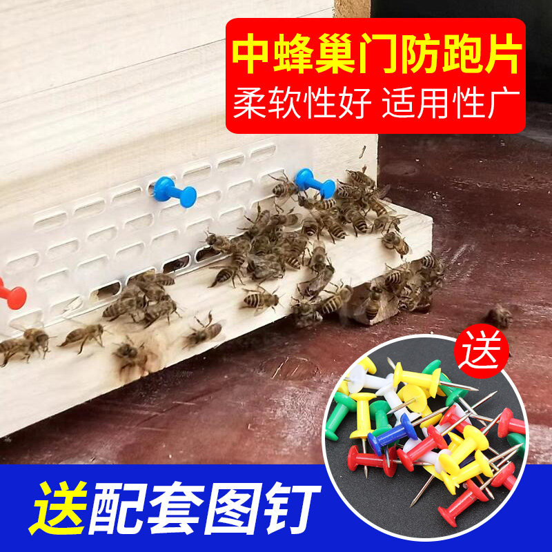 必备神器！蜂王防逃片+防逃板，土养蜂箱配件大揭秘