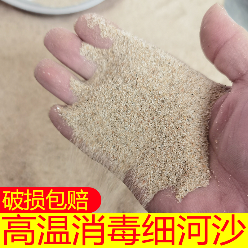 高品质建筑的秘密武器：粗沙与黄沙的完美应用