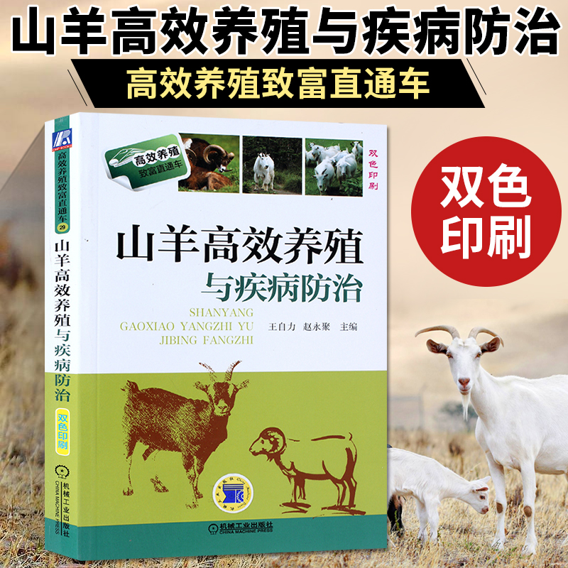 波尔山羊纯种活体太香了！新手养羊必看！这波不冲亏麻了