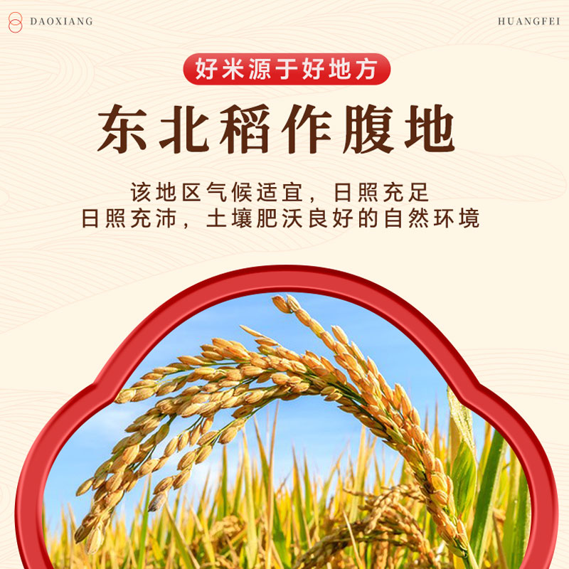 红楼梦脂砚斋批评本：穿越时空的文学盛宴，收藏级珍品✨