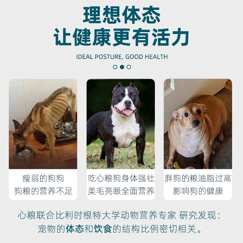 恶霸犬狗粮进口牛肉增肌壮骨，大型犬的营养盛宴来啦！