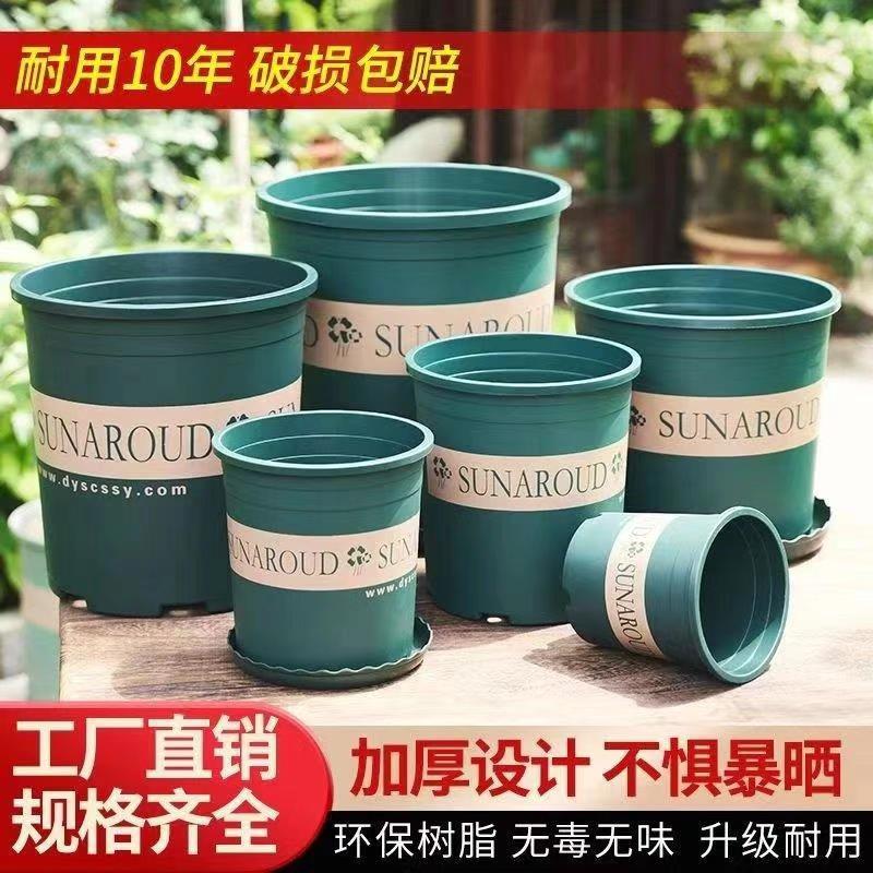 塑料盆多肉专用定制矮盆（黑）：养多肉植物的秘密武器！