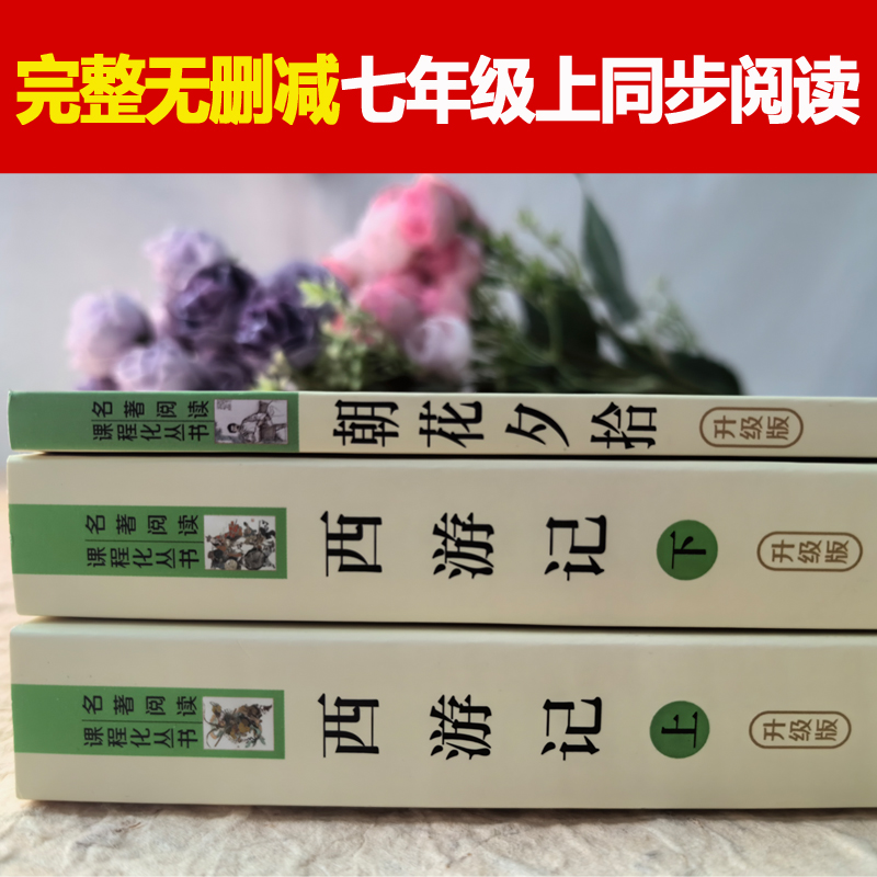 新华书店正版新书《恶魔之地》：开启你的阅读冒险之旅