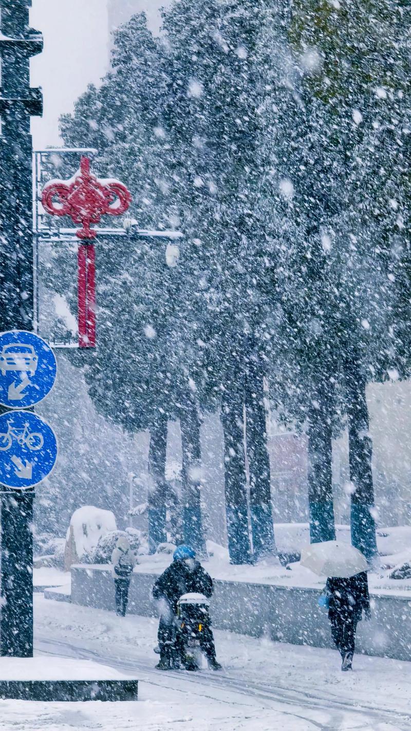 天天打雪仗,冬日里的欢乐时光——天天打雪仗