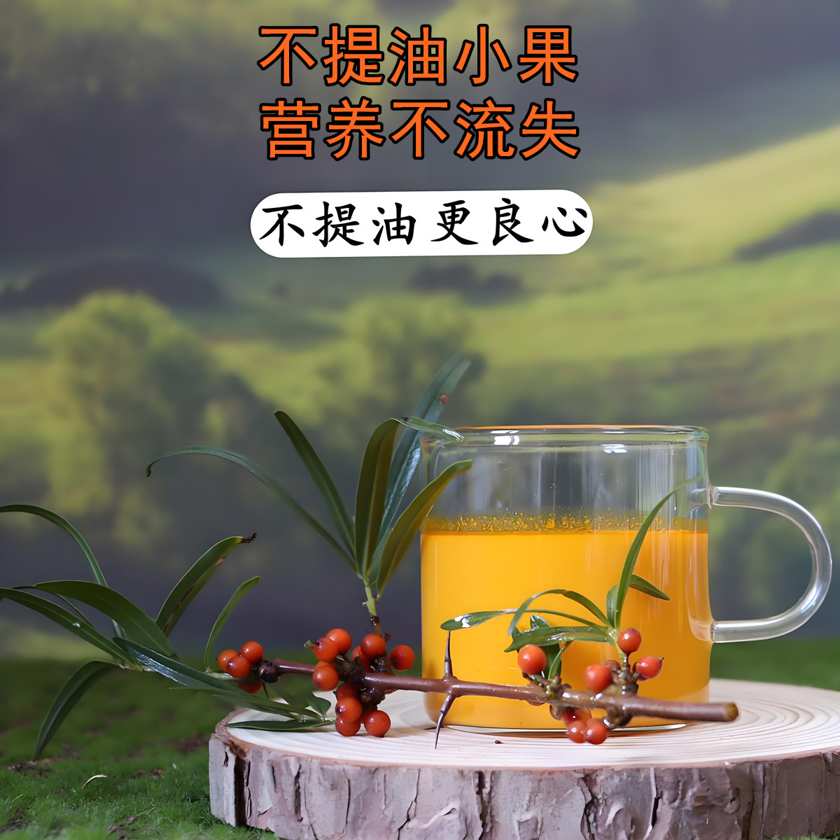 内蒙小果沙棘原浆，宇航人的能量源泉！