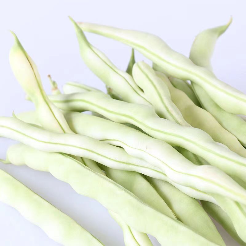 东北老来少白芸豆：新鲜采摘，纯正无筋豆角，让你尝鲜不停歇！