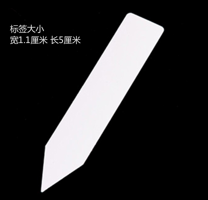 园丁丁【特价】100张加厚插地标签，种子育苗标牌，多肉标签，书写方便，园艺新手必备神器！