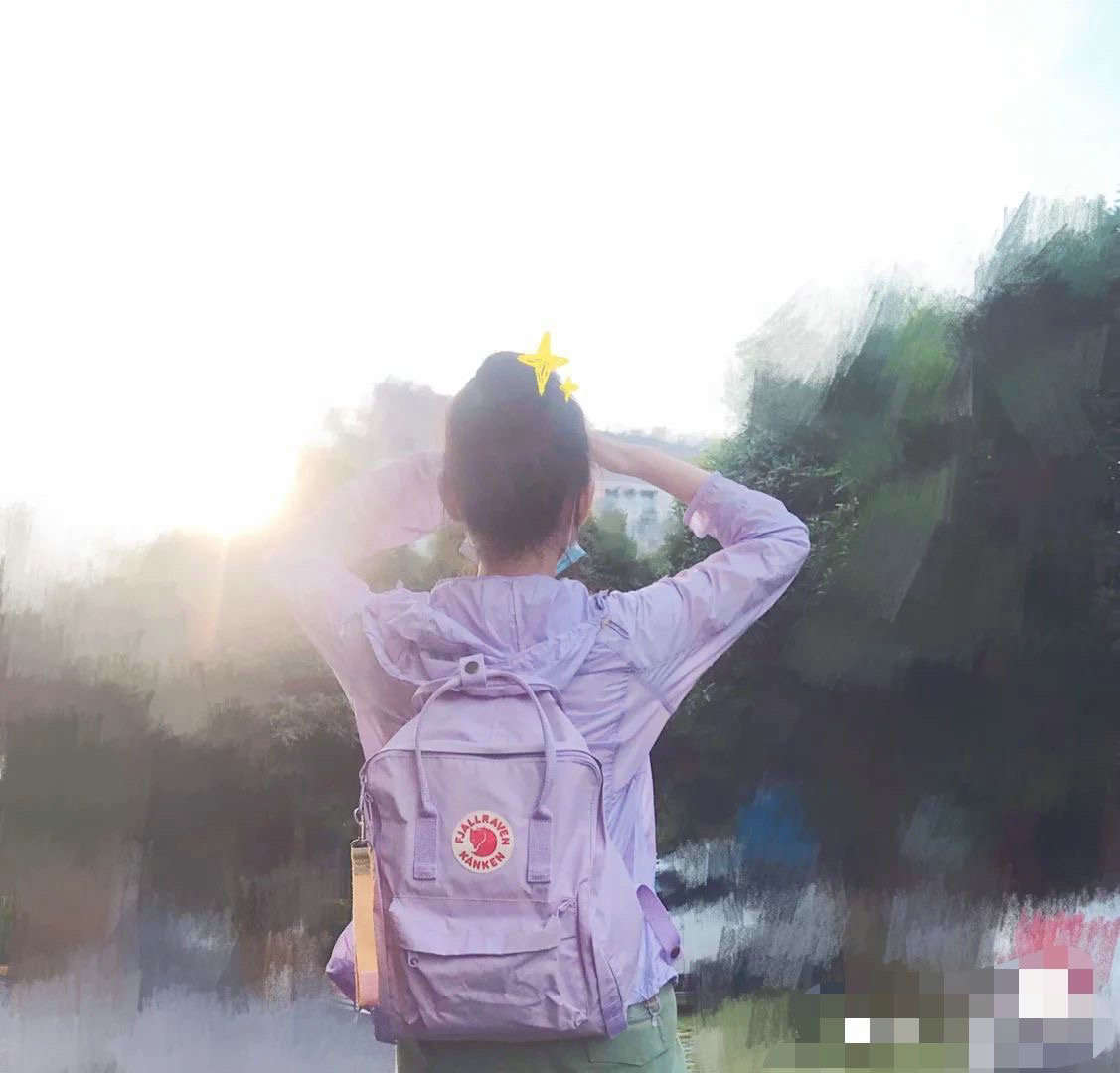 北极狐能在大陆生存吗？适应能力大揭秘