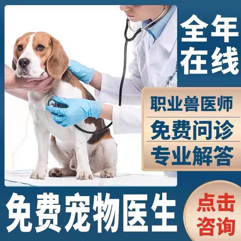 五黑犬幼犬：广西土猎犬的传奇与选择攻略，你准备好迎接挑战了吗？