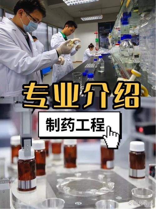 生物工程是制药相关专业吗,制药领域的关键支撑专业-第1张图片-职教招生网