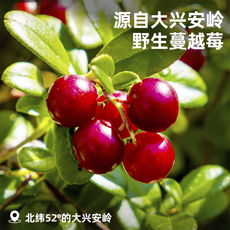 漠河野生蔓越莓干：天然美味，每一颗都是大自然的馈赠！