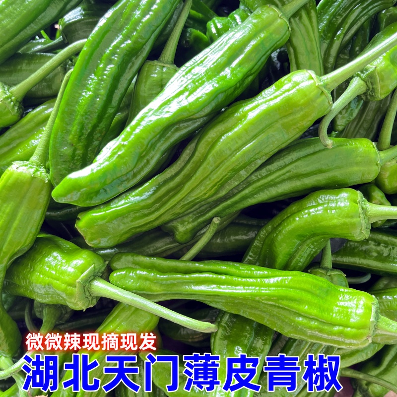 【辣爽了】特辣小皱皮青椒：挑战舌尖极限，解锁味蕾新体验！