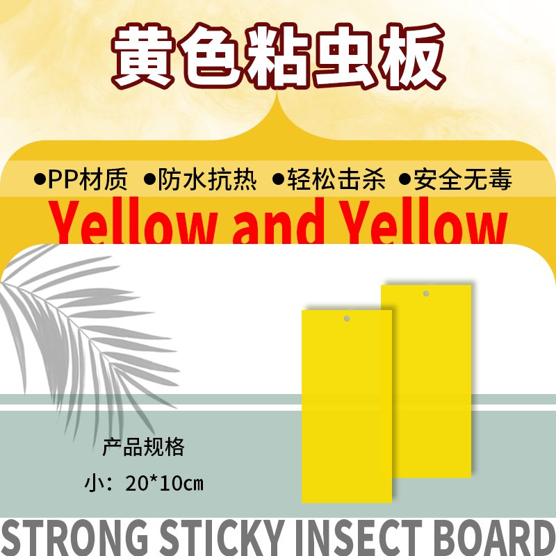 果园瓜地大棚必备！双面粘虫板真的太香了！小黑飞蓟马全搞定