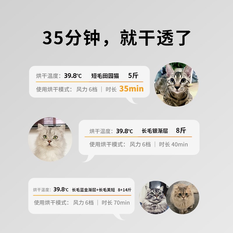 小佩宠物智能烘干箱：猫咪狗狗洗澡后的温暖拥抱神器！