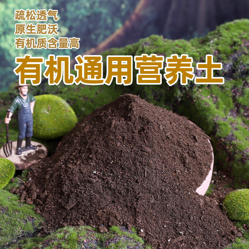 老番茄照片：那些年我们追过的B站神级UP主！