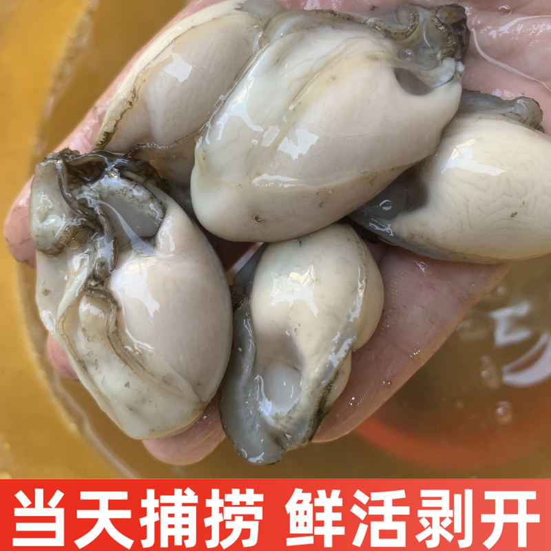 顺丰包邮，纯肉无骨！谷饲安格斯150天肋条500g，吃货们看过来！