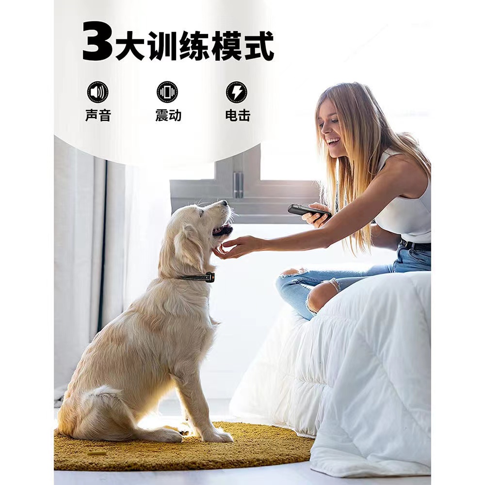 彩屏版遥控止吠器：宠物训练神器，告别狂吠新方式！