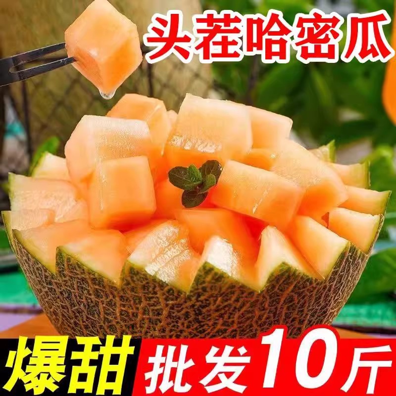 爱依服：品质之选，时尚界的可靠伙伴