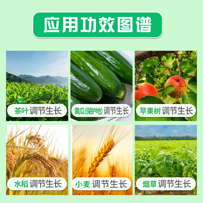 德国进口碧护赤·吲乙·芸苔：植物生长调节剂的绿色革命，守护花果的秘密武器！
