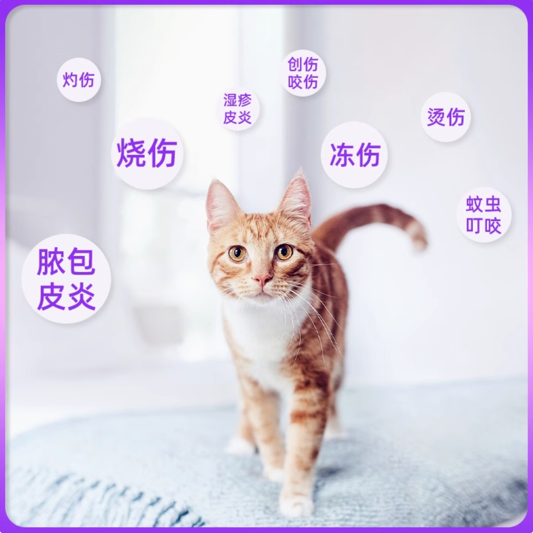 英国Botanica伤复康乳膏：宠物猫狗烫伤伤口愈合神器，祛湿消肿创伤抑菌膏详解